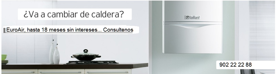 Vaillant